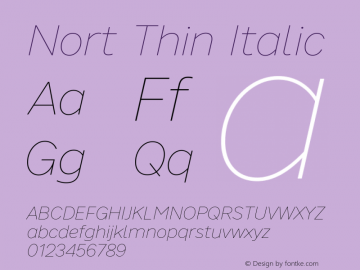 Nort Thin Italic Version 7.70图片样张