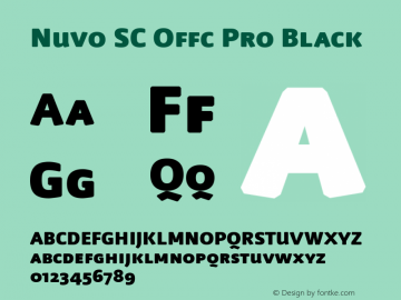 Nuvo SC Offc Pro Black Version 7.504; 2009; Build 1020图片样张