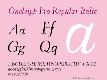 OneleighPro-Ita Version 7.504; 2008图片样张