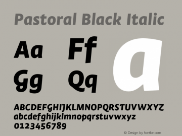 Pastoral Black Italic Version 1.00图片样张