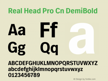 Real Head Pro Cn DemiBold Version 1.00图片样张