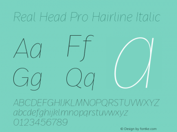 Real Head Pro Hairline Ita Version 7.70图片样张