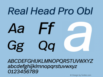 Real Head Pro Regular Obl Version 7.70图片样张