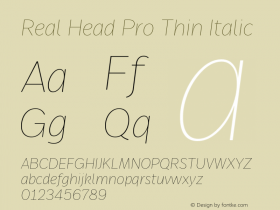 Real Head Pro Thin Italic Version 7.70图片样张