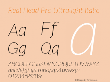 Real Head Pro Ultralight It Version 7.70图片样张