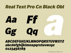 Real Text Pro Cn Black Obl Version 1.00图片样张