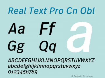 Real Text Pro Cn Obl Version 1.00图片样张