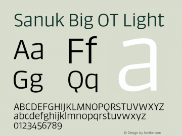 Sanuk Big OT Light Version 7.504; 2016; Build 1024图片样张