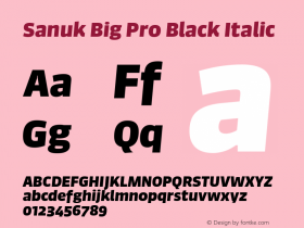 Sanuk Big Pro Black Italic Version 7.504; 2016; Build 1024图片样张