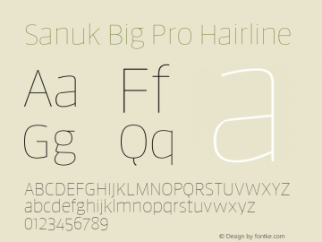 Sanuk Big Pro Hairline Version 7.504; 2016; Build 1026图片样张
