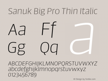 Sanuk Big Pro Thin Italic Version 7.504; 2016; Build 1024图片样张