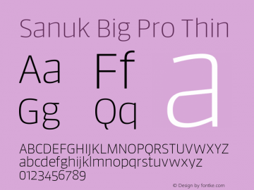 Sanuk Big Pro Thin Version 7.504; 2016; Build 1024图片样张