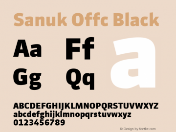 Sanuk Offc Black Version 7.504; 2010; Build 1021图片样张