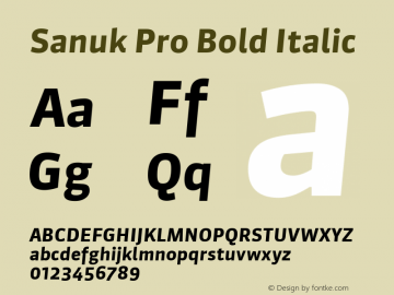 Sanuk Pro Bold Italic Version 7.504; 2016; Build 1023图片样张