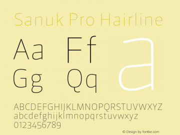 Sanuk Pro Hairline Version 7.504; 2010; Build 1025图片样张