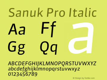 Sanuk Pro Italic Version 7.504; 2010; Build 1025图片样张