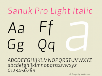Sanuk Pro Light Italic Version 7.504; 2010; Build 1025图片样张