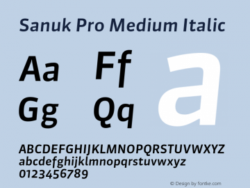 Sanuk Pro Medium Italic Version 7.504; 2010; Build 1025图片样张