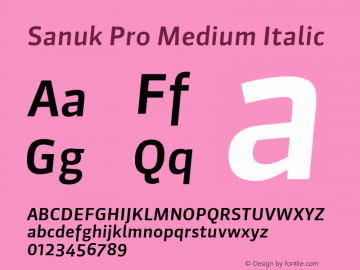 Sanuk Pro Medium Italic Version 7.504; 2016; Build 1022图片样张
