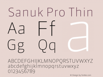 Sanuk Pro Thin Version 7.504; 2010; Build 1028图片样张
