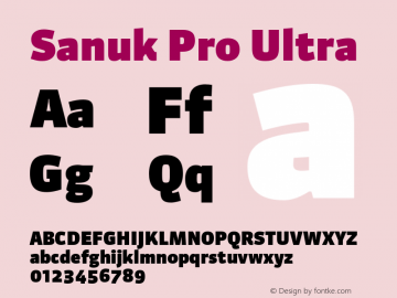 Sanuk Pro Ultra Version 7.504; 2010; Build 1029图片样张