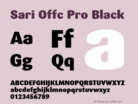 Sari Offc Pro Black Version 7.504; 2010; Build 1002图片样张