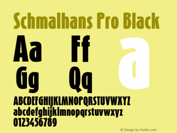 SchmalhansPro-Black Version 7.504; 2007图片样张