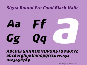 Signa Round Pro Cond Black Italic Version 7.504; 2017; Build 1031图片样张