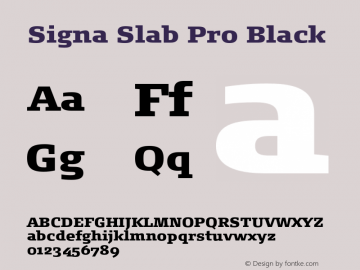 SignaSlabPro-Black Version 7.504; 2012; Build 1026图片样张
