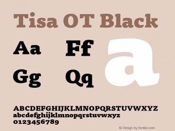 Tisa OT Black Version 7.600, build 1027, FoPs, FL 5.04图片样张