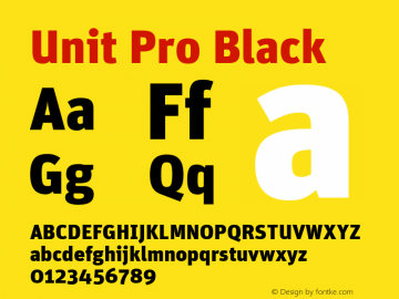 Unit Pro Black Version 7.600, build 1027, FoPs, FL 5.04图片样张