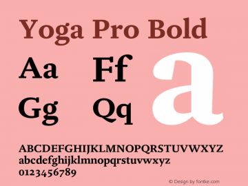 Yoga Pro Bold Version 7.600, build 1028, FoPs, FL 5.04图片样张