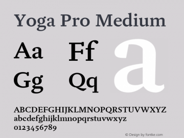 Yoga Pro Medium Version 7.600, build 1028, FoPs, FL 5.04图片样张