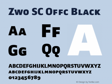 Zwo SC Offc Black Version 7.504; 2010; Build 1023图片样张