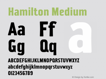 Hamilton Medium 001.000图片样张