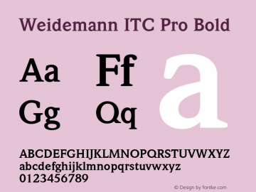 Weidemann ITC Pro Bold Version 1.00 Build 1000图片样张