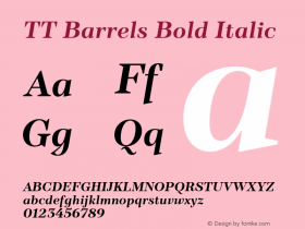 TT Barrels Bold Italic Version 1.010.27102021图片样张