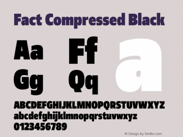 Fact Compressed Black Version 1.000图片样张