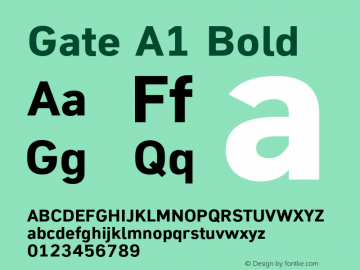 Gate A1 Bold Version 1.001图片样张