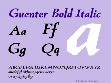 Guenter Bold Italic Version 1.000图片样张