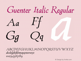 Guenter Italic Version 1.000图片样张