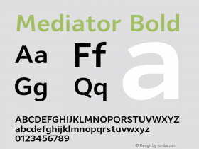 Mediator Bold Version 1.0图片样张