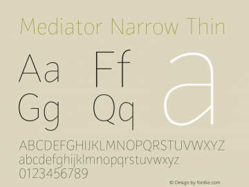 Mediator Narrow Thin Version 1.0图片样张