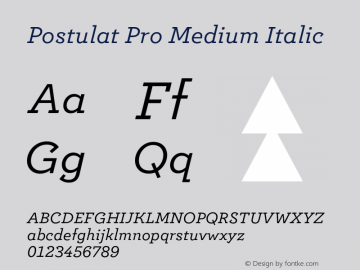 Postulat Pro Medium Italic Version 1.000;FEAKit 1.0图片样张
