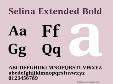 Selina Extended Bold Version 1.000图片样张