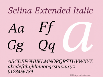 Selina Extended Italic Version 1.000图片样张