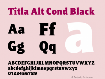 Titla Alt Cond Black Version 1.1图片样张