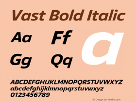 Vast Bold Italic Version 1.000图片样张