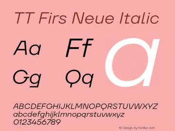 TT Firs Neue Italic Version 2.000.26062023图片样张