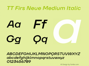 TT Firs Neue Medium Italic Version 2.000.26062023图片样张